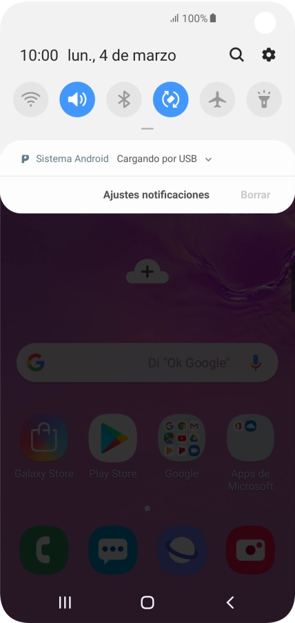 Pulsa Sistema Android.