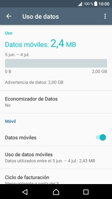 El consumo total de datos se visualiza ahora en la pantalla.