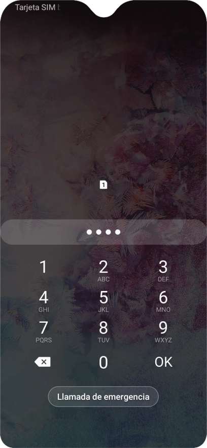 Si lo solicita el teléfono, introduce el código PIN y pulsa OK.