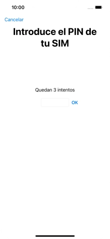 Si es necesario desbloquear la tarjeta SIM, introduce el código PIN y pulsa OK.