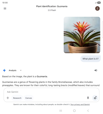 Follow the instructions on the screen to type or speak the required question. You can also attach pictures or documents and ask questions to them.