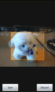 Drag the frame to the required position to select the required detail.