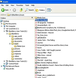 Highlight the required audio file and move or copy it to your phone.