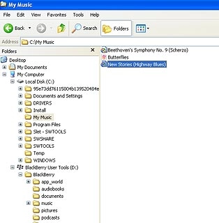 Highlight the required file and move or copy it to your phone.
