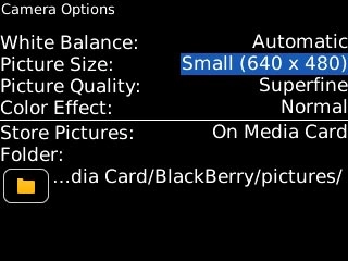 Highlight the drop down list next to Picture Size and press the Navigation key.