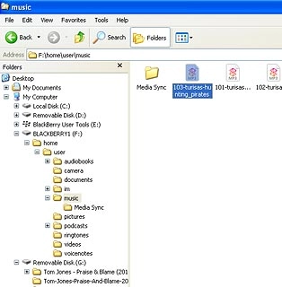 Highlight the required audio file and move or copy it to your phone.