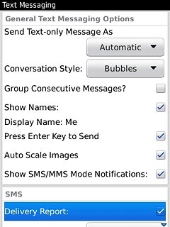 When the box next to the menu item is ticked (V), the function is turned on.