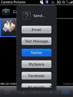 Press one of the following social networks:Twitter, go to 3a.