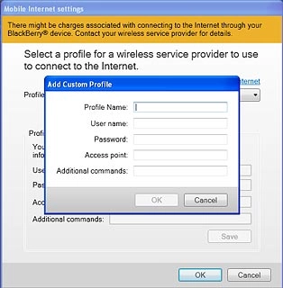 Click the field next to Profile name and key in Vodafone Internet
