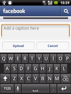 Press Add a caption here and key in text for the picture, if required.