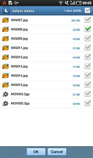 When the box next to a file is ticked (V), it's selected.