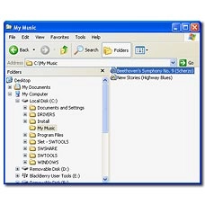 Highlight the required audio file and move or copy it to your phone.