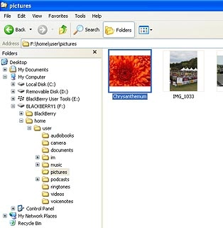 Highlight the required picture or the required video clip and move or copy it to your computer.