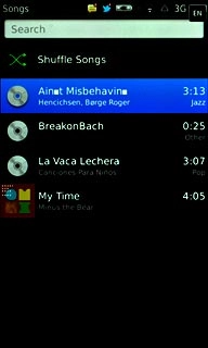 Press the required audio file or the required playlist.