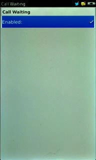 When the box next to the menu item is ticked (V), the function is turned on.