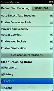 When the box next to the menu item is ticked (V), it's selected.