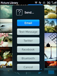 Press one of the following options:Email, go to 3a.