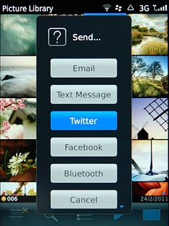 Press one of the following social networks:Twitter, go to 3a.