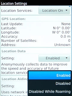 Press Enabled, Disabled or Disabled While Roaming.