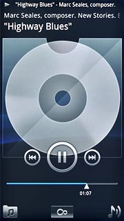Press the pause icon to stop the playback.