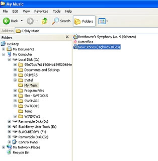 Highlight the required file and move or copy it to your phone.