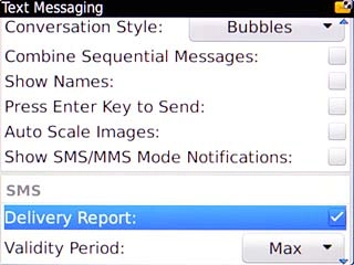 When the box next to the menu item is ticked (V), the function is turned on.