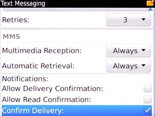 When the box next to the menu item is ticked (V), the function is turned on.
