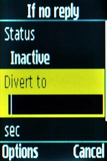 Scroll to Divert to and key in +61414121121