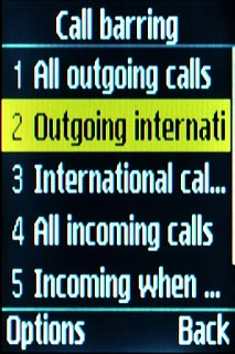 Outgoing international calls
