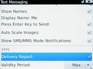 When the box next to the menu item is ticked (V), the function is turned on.