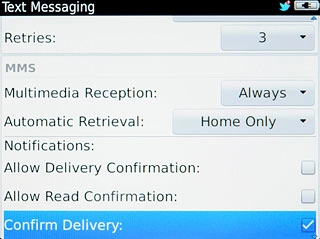 When the box next to the menu item is ticked (V), the function is turned on.
