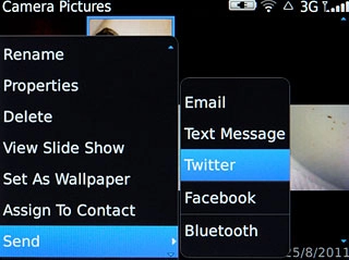 Press one of the following social networks:Twitter, go to 3a.