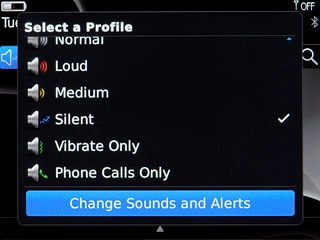 Press Change Sounds and Alerts.