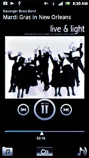 Press the pause icon to stop the playback.