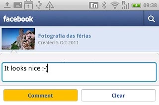 Key in the required text and press Comment.