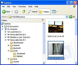 Highlight the required file and move or copy it to your phone.