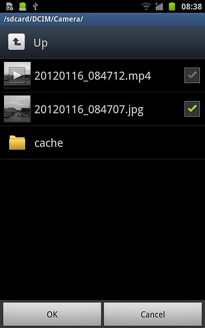 When the box next to a file is ticked (V), it's selected.