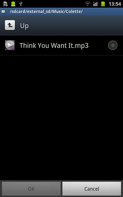 Press the field next to the required audio file.