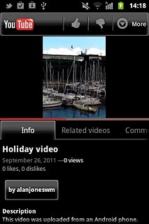 Start playing the required video clip, see above.Press More.