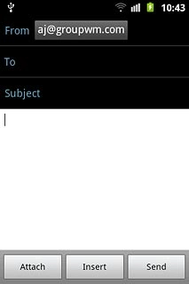 Press and hold the text input field until a pop-up menu is displayed.