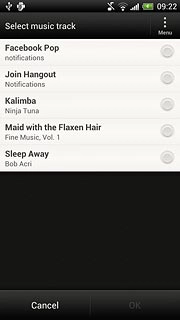 Press the required audio file to select it.