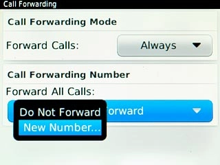 Scroll to New Number... and press the Navigation key.