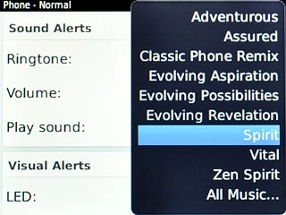 Highlight the different ring tones to listen to them.