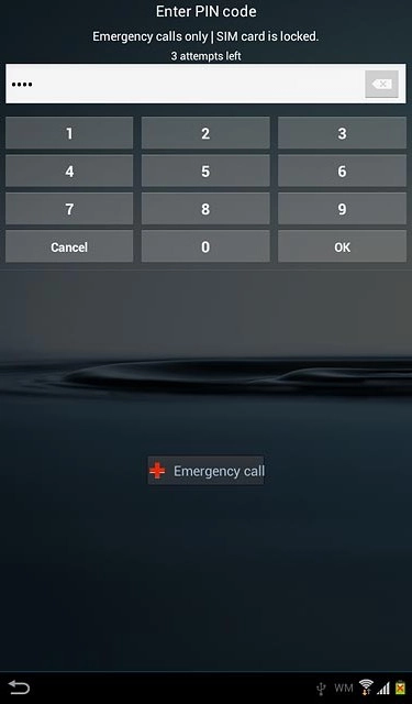 Key in your PIN and press OK.If your device rejects the SIM:Contact your distributor or service provider where you bought your device.