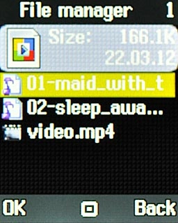 Highlight the required audio file and press the Navigation key.