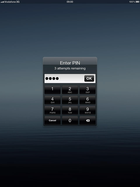 Key in your PIN and press OK.