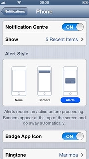 To change display format:Press the required format below Alert Style.
