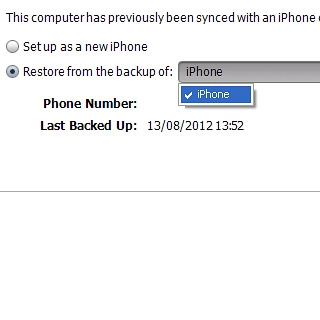 Click the required backup.
