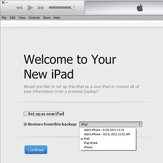 Click the required backup.