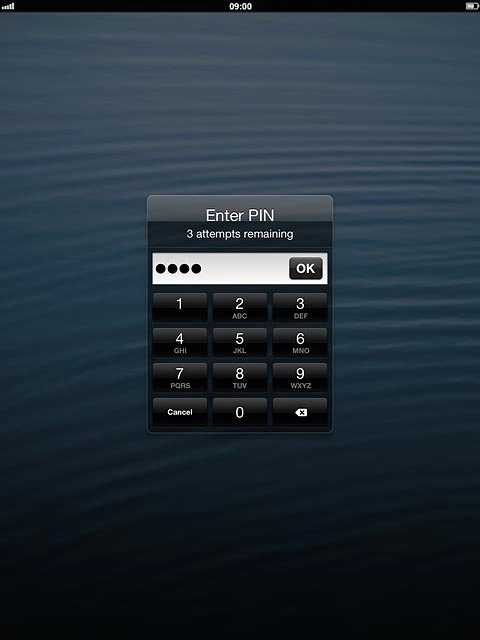 Key in your PIN and press OK.If your device rejects the SIM:Contact your distributor or service provider where you bought your device.